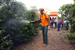 As_Dinâmicas_de_Campo_acontecem_nas_lavouras_do_Campo_Experimental_da_EPAMIG