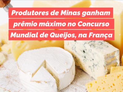 Queijos do Sul de Minas são premiados em concurso na França